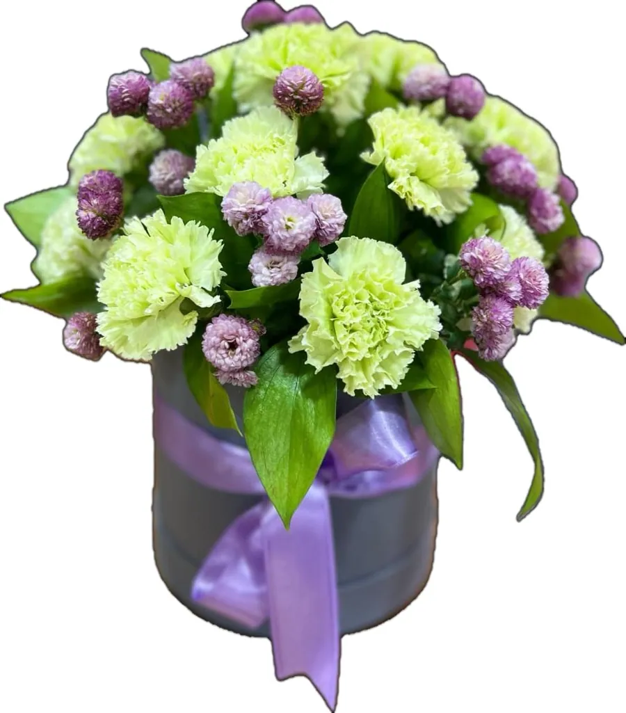 Kutuda yeşil karanfil — DİA Flowers Belek
